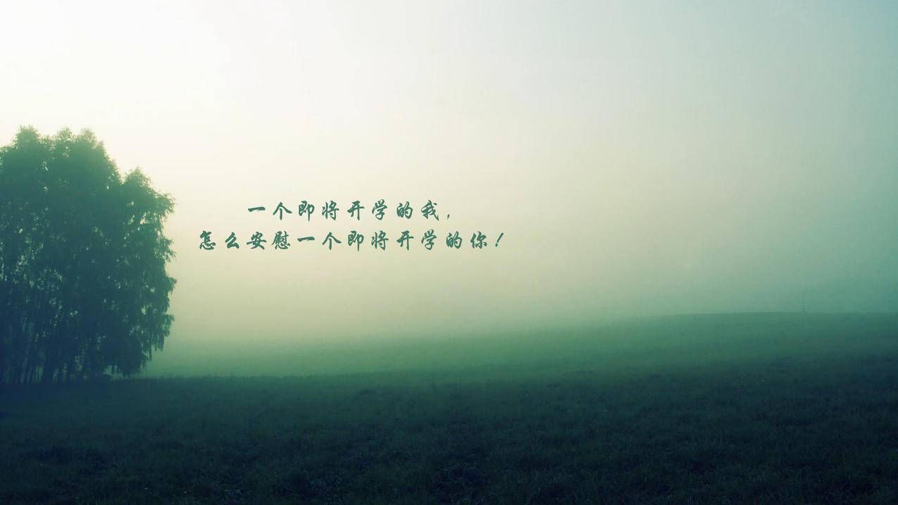 网红商城